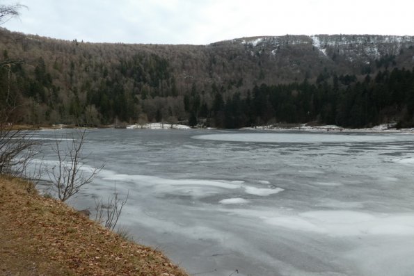 P1030311-001